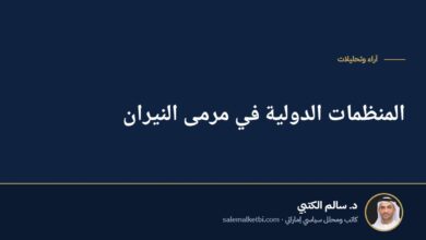 المنظمات الدولية في مرمى النيران