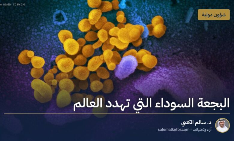 البجعة السوداء التي تهدد العالم