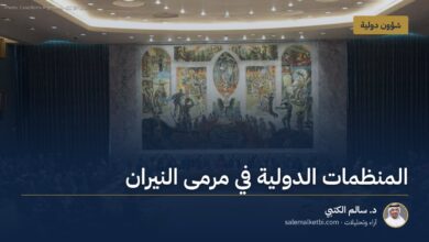 المنظمات الدولية في مرمى النيران