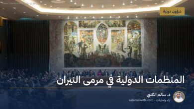 المنظمات الدولية في مرمى النيران
