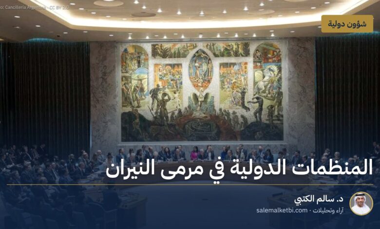 المنظمات الدولية في مرمى النيران