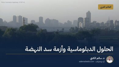 الحلول الدبلوماسية وأزمة سد النهضة