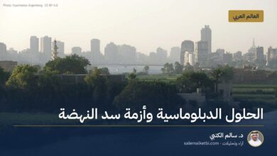 الحلول الدبلوماسية وأزمة سد النهضة