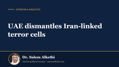 UAE dismantles Iran-linked terror cells – Dr. Salem Alketbi