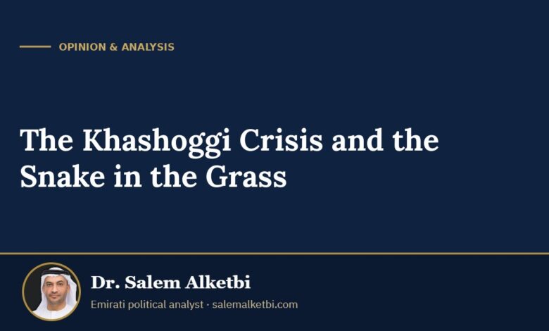 The Khashoggi Crisis and the Snake in the Grass – Dr. Salem Alketbi