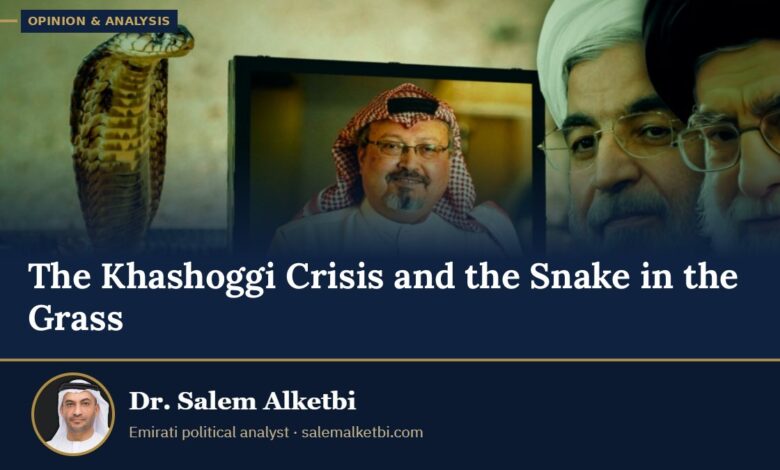 The Khashoggi Crisis and the Snake in the Grass – Dr. Salem Alketbi
