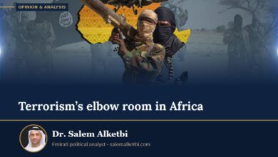 Terrorism’s elbow room in Africa – Dr. Salem Alketbi