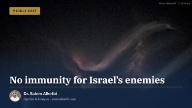 No immunity for Israel’s enemies