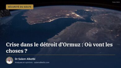 Crise dans le détroit d'Ormuz : Où vont les choses ?