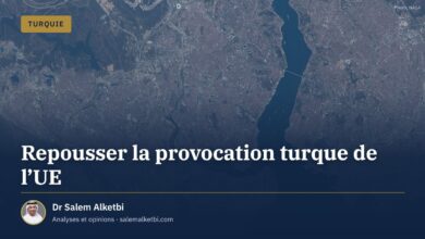 Repousser la provocation turque de l'UE – Dr Salem Alketbi