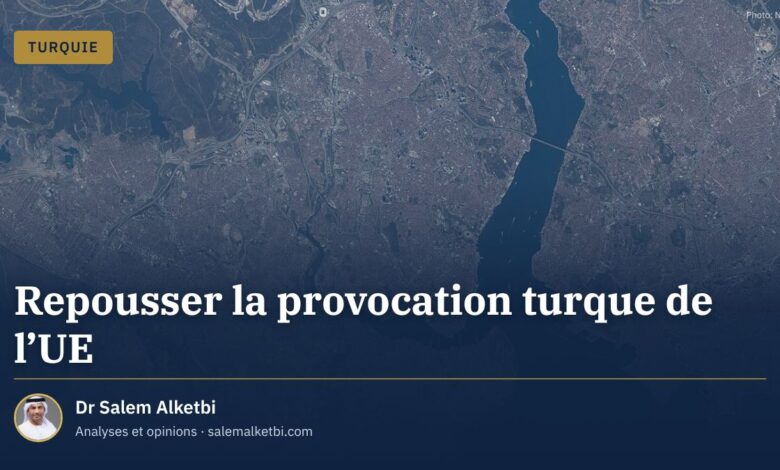 Repousser la provocation turque de l'UE – Dr Salem Alketbi