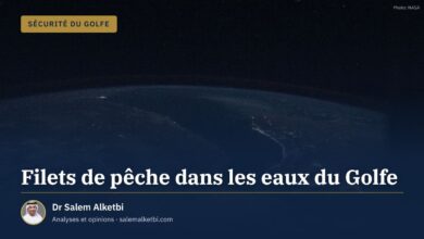 Filets de pêche dans les eaux du Golfe – Dr Salem Alketbi