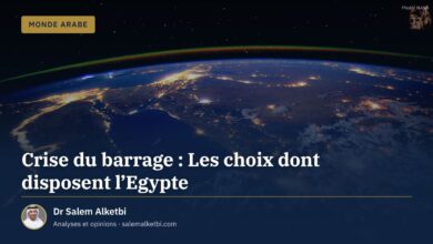 Crise du barrage : Les choix dont disposent l'Egypte – Dr Salem Alketbi