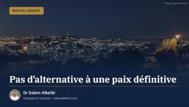 Pas d'alternative à une paix définitive – Dr Salem Alketbi