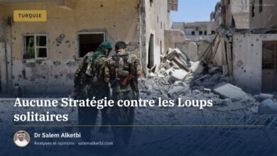 Aucune Stratégie contre les Loups solitaires