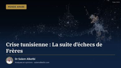 Crise tunisienne : La suite d'échecs de Frères – Dr Salem Alketbi