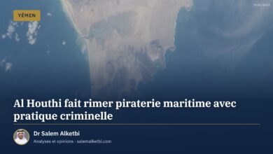 Al Houthi fait rimer piraterie maritime avec pratique criminelle – Dr Salem Alketbi