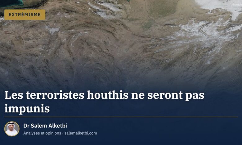Les terroristes houthis ne seront pas impunis – Dr Salem Alketbi