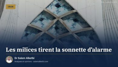 Les milices tirent la sonnette d'alarme – Dr Salem Alketbi