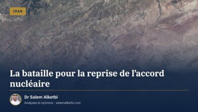 La bataille pour la reprise de l'accord nucléaire – Dr Salem Alketbi