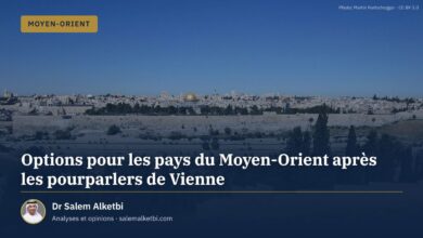 Options pour les pays du Moyen-Orient après les pourparlers de Vienne – Dr Salem Alketbi