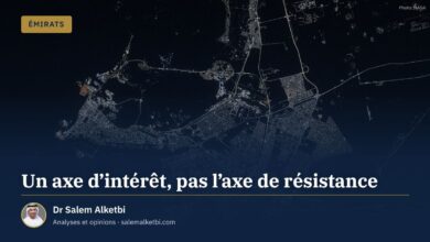 Un axe d'intérêt, pas l'axe de résistance – Dr Salem Alketbi