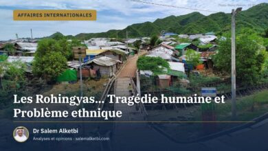 Les Rohingyas... Tragédie humaine et Problème ethnique