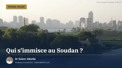 Qui s'immisce au Soudan ?