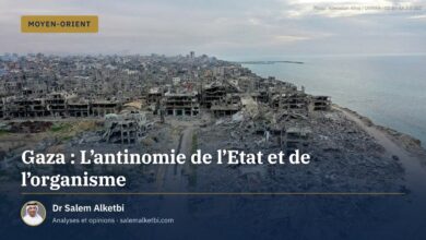 Gaza : L'antinomie de l'Etat et de l'organisme