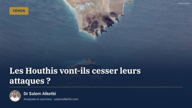 Les Houthis vont-ils cesser leurs attaques ? – Dr Salem Alketbi