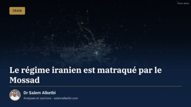 Le régime iranien est matraqué par le Mossad – Dr Salem Alketbi