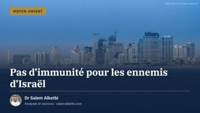 Pas d'immunité pour les ennemis d'Israël – Dr Salem Alketbi