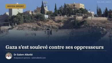 Gaza s'est soulevé contre ses oppresseurs – Dr Salem Alketbi